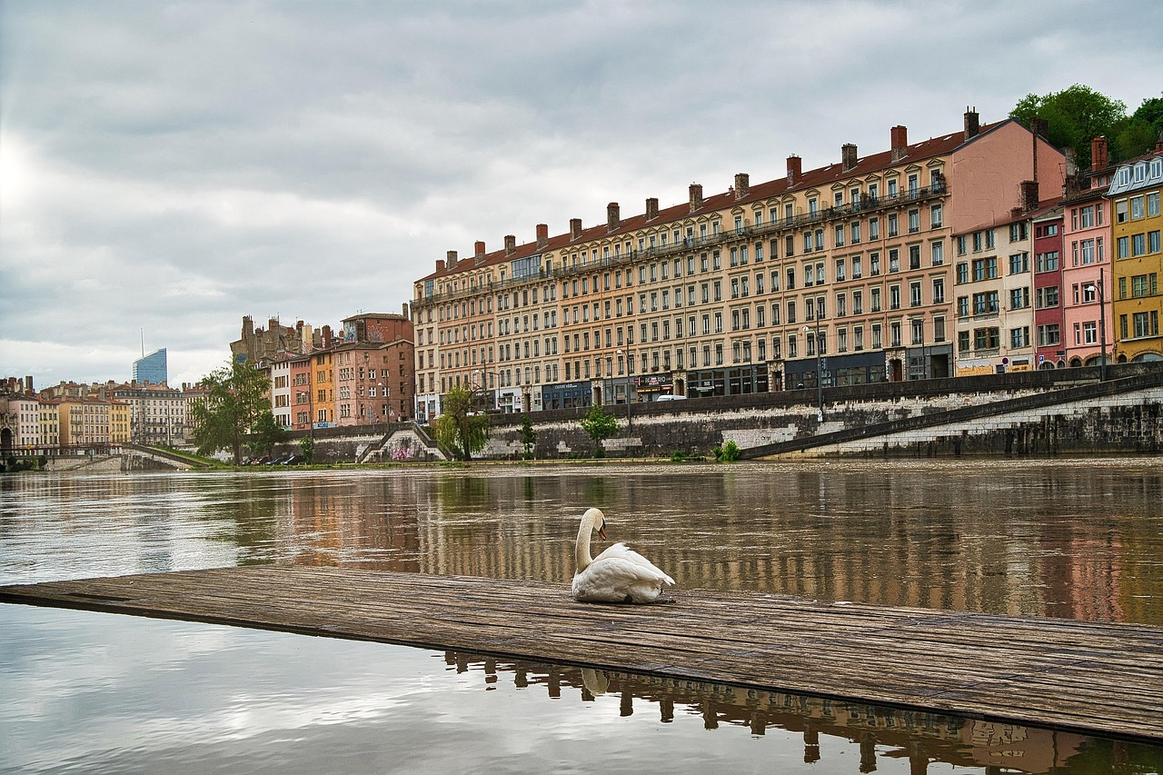 Lyon Lyon
